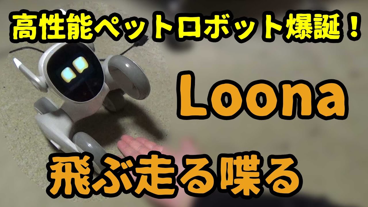 可愛くてヤンチャで甘えん坊なペットロボット Loona（ルーナ）爆誕