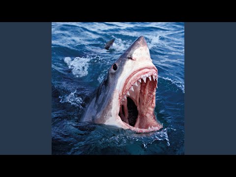 Conway The Machine, Alchemist – LULU – Vinyl (12