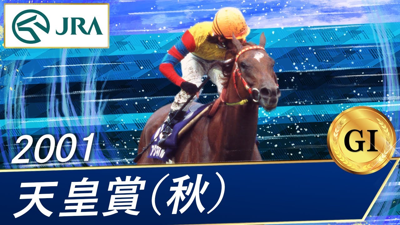 アグネスデジタル他17頭00年 マイルCS現地的中単勝馬券人気薄・貴重