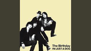 The Birthday『I'M JUST A DOG』ガレージロックの荒々しさと繊細な感情