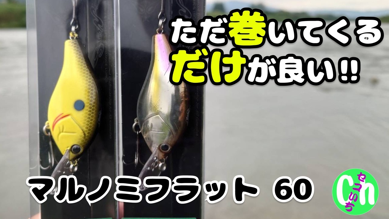 たった5分巻くだけで釣れる！新作クランクベイト！【マルノミフラット