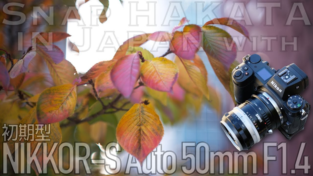 なんにもせんとシネマチックな描写【作例】NIKKOR-S Auto 50mm F1.4で