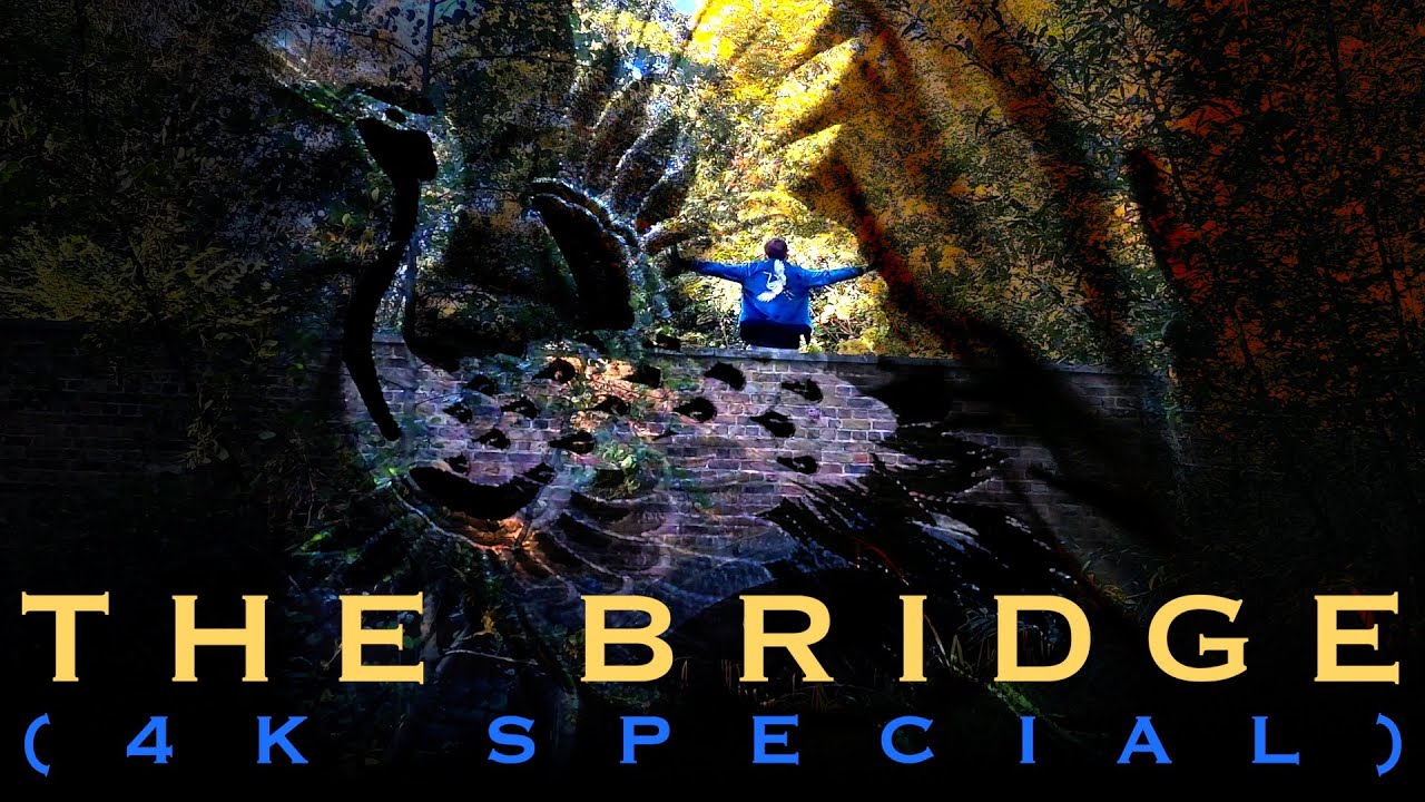 Avid Beats - The Bridge (4K Special) [Official Music Video] - YouTube