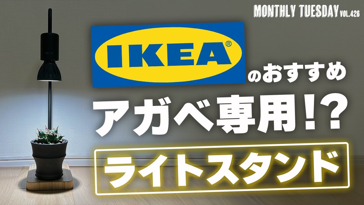 植物育成ライト】IKEAのライトスタンドにヘリオスマイルドの組み合わせ