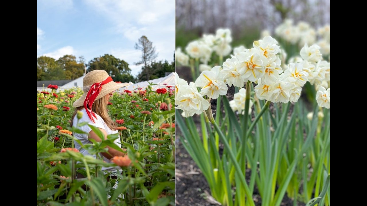 Slow Flowers Show Episode 756V: Sarah Coldwell of Honeybee Grove