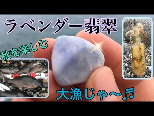 ラベンダー翡翠💜】糸魚川の海で秋を楽しむ🎣💎✨大漁じゃ〜♬釣りに