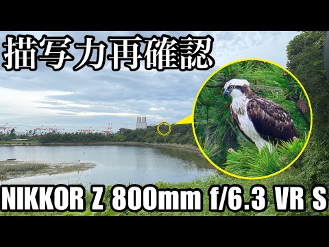 描写検証】863の描写力を改めて認識 - Z 800mm f/6.3 VR S - - YouTube