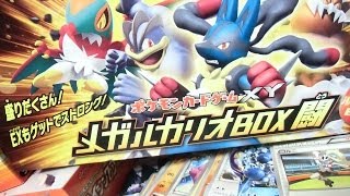 Pokémon Card Game XY 