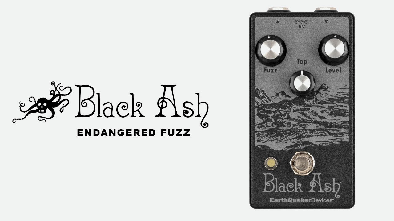 EarthQuaker Devices Black Ash Endangered Fuzz - YouTube