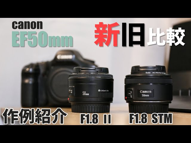 作例比較】canonの高コスパレンズ！ EF50mm F1.8 ⅡとSTMを比較