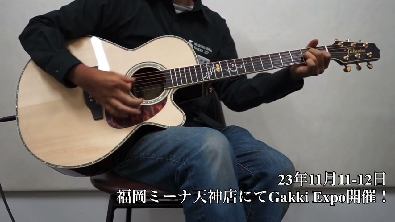 Takamine 500 Custom 