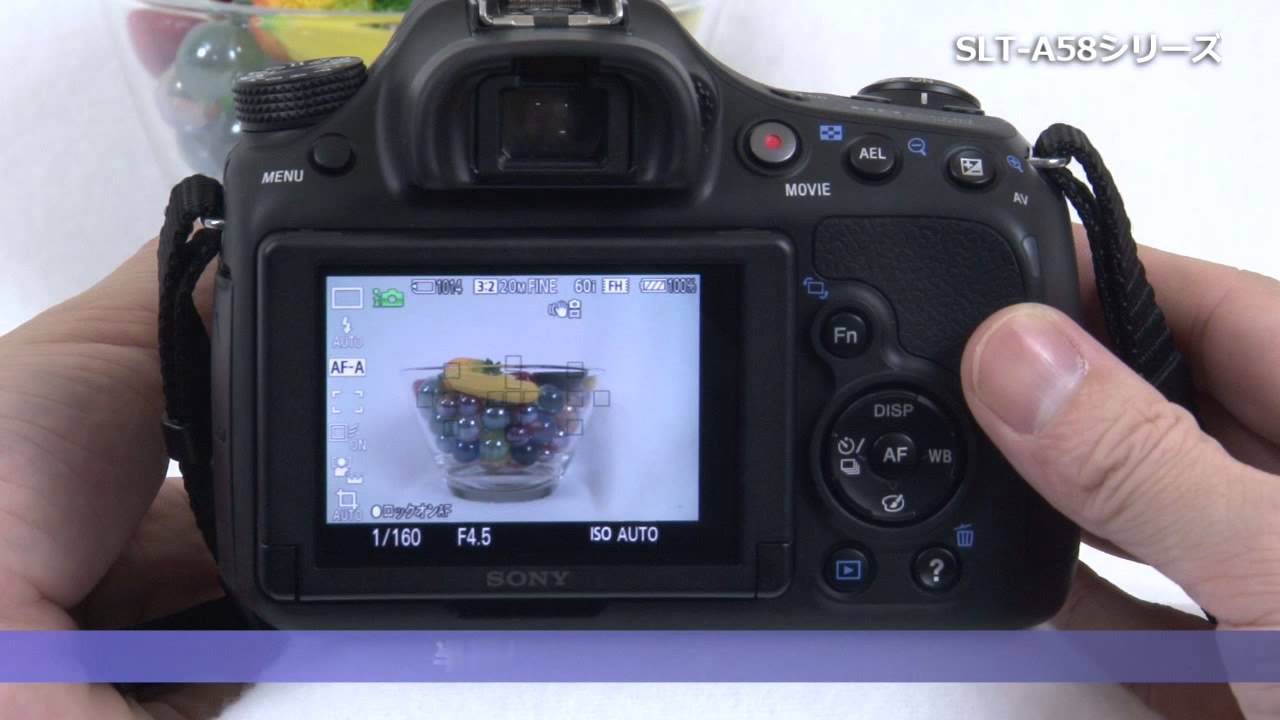 ソニー デジタル一眼カメラ