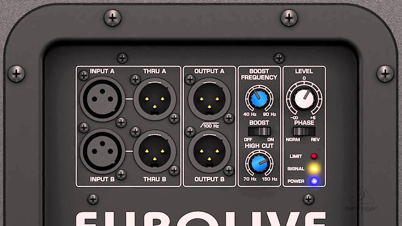 B1200D PRO Active 500 Watt 12' PA Subwoofer - YouTube