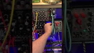 WMD Arpitecht - Eurorack Module on ModularGrid