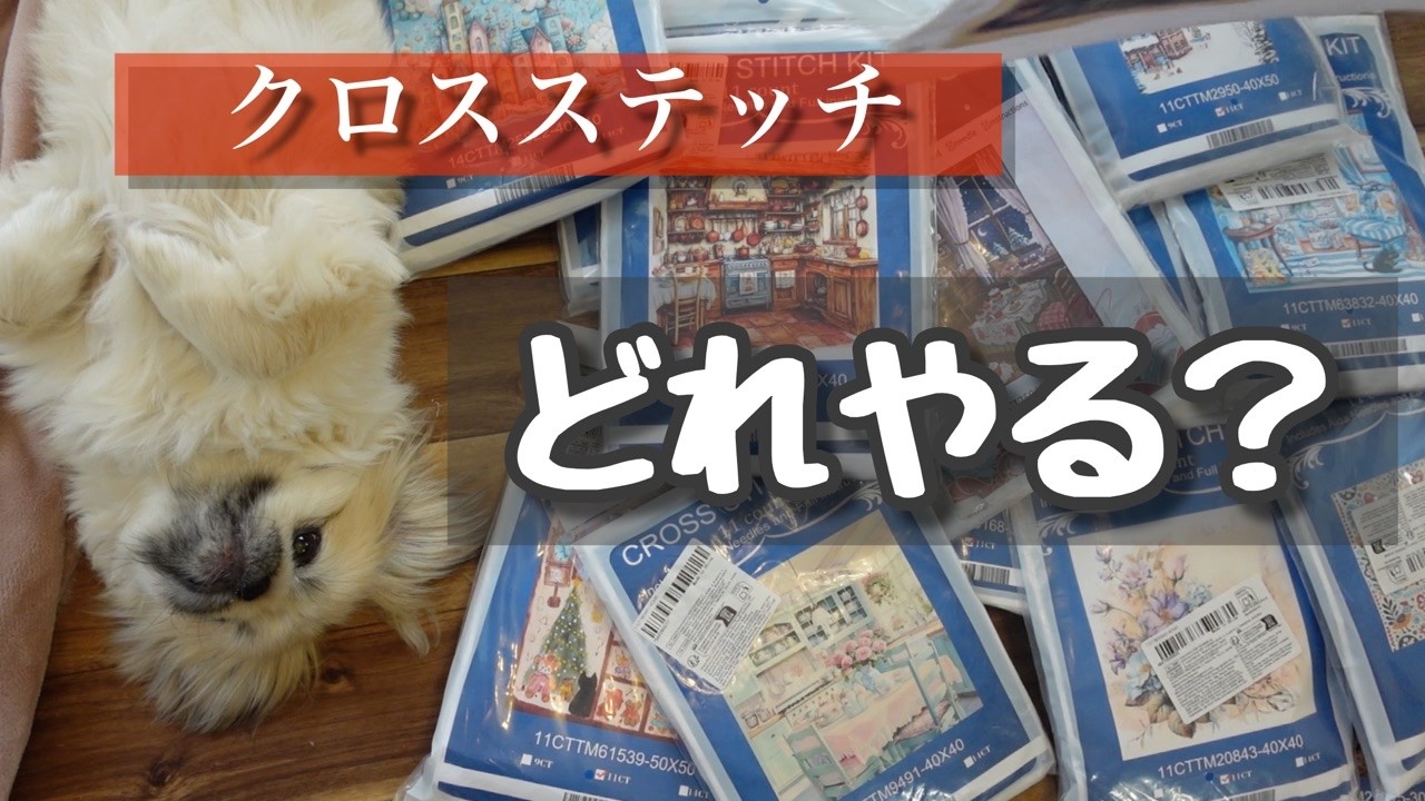 Cross Stitch] Which Type to Choose? | Do it as much as you like