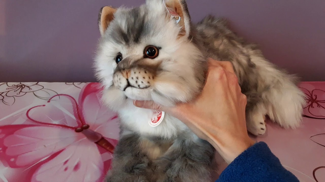 maxresdefault.jpg?sqp=-