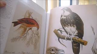 BIRDS: THE ART OF ORNITHOLOGY - YouTube