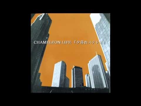 CHAMELEON LIFE （カメレオンライフ） - YouTube