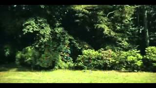 SUPER BEAVER リセット - YouTube