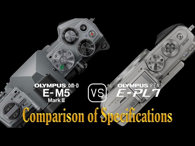 Olympus OM-D E-M5 Mark III vs. Olympus PEN E-PL7: A Comparison of