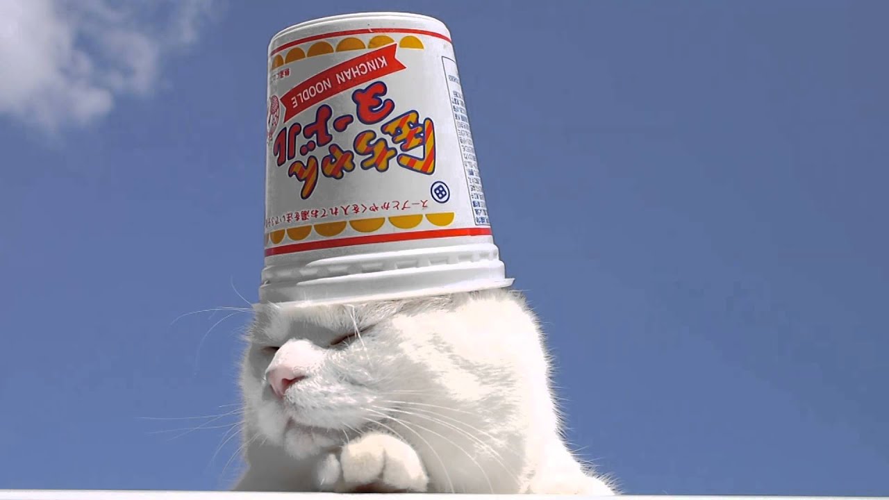 やま】スーパーセブンのねこちゃん形オルゴナイト☆他8点 やま