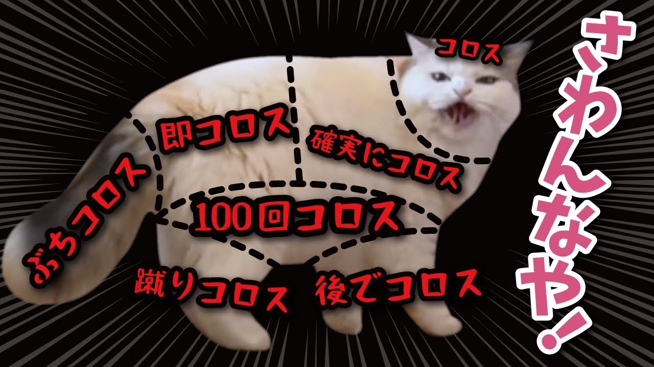 Too hard lol] Here's the scariest cat petting map ever [Cat