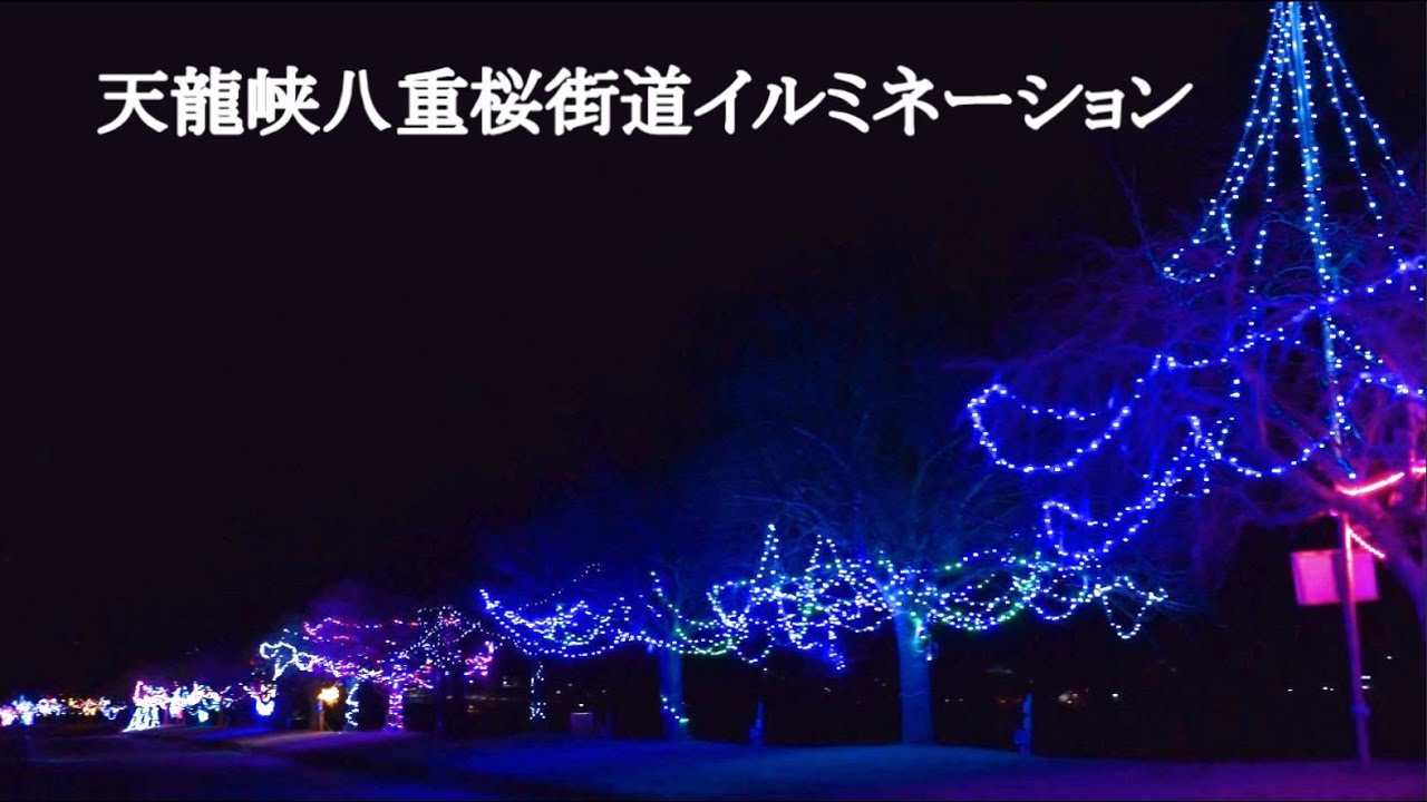 2026年天竜峡八重桜街道イルミネーション - YouTube
