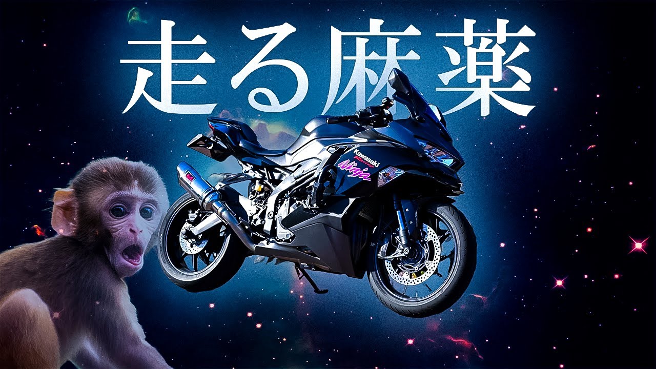 やる気にさせるチンパンジーサウンド【ZX25R/モトブログ】 - YouTube