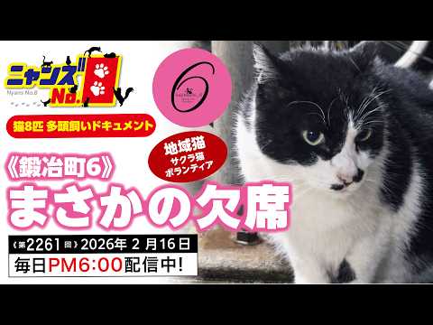 No. 2261》《Kajimachi 6》Unexpected absence - YouTube