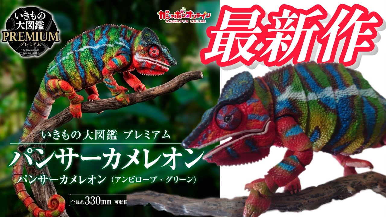 いきもの大図鑑プレミアム】パンサーカメレオンアンビローブ・グリーン