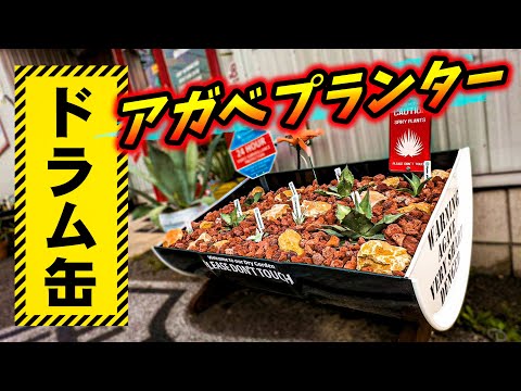 hqdefault.jpg?v=64f81803