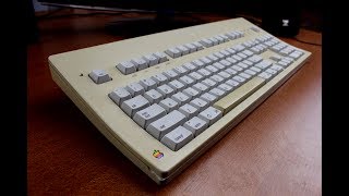 Apple Extended Keyboard (AEK) M0115 review REDUX (Alps SKCM Salmon