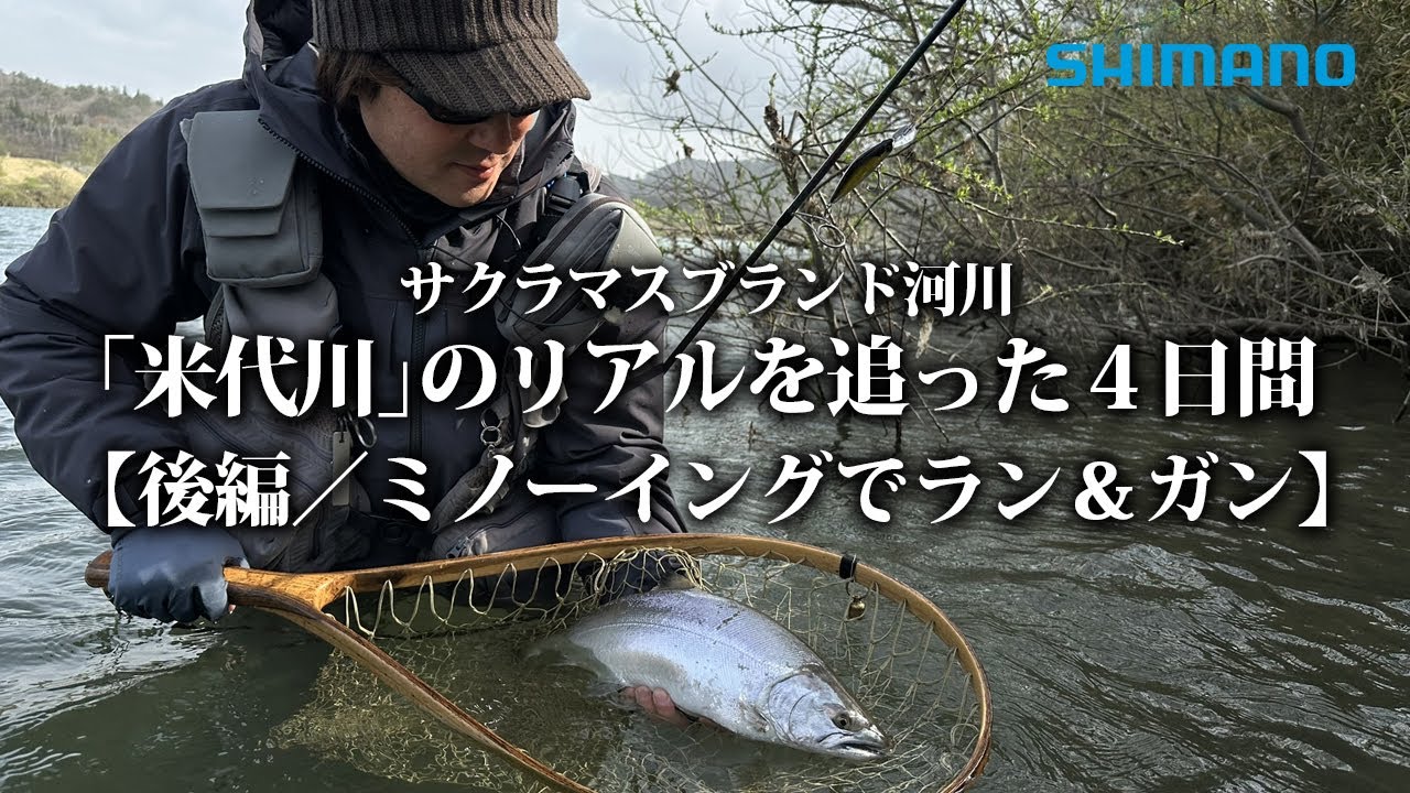 Four days of following the real life of the cherry salmon brand