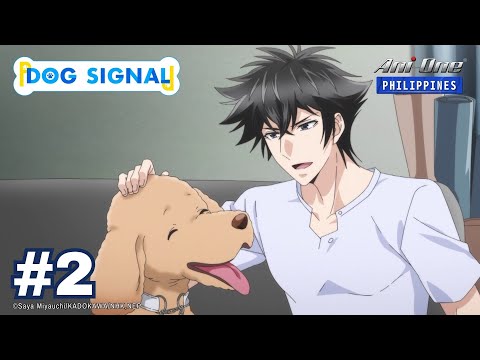 Dog Signal - YouTube