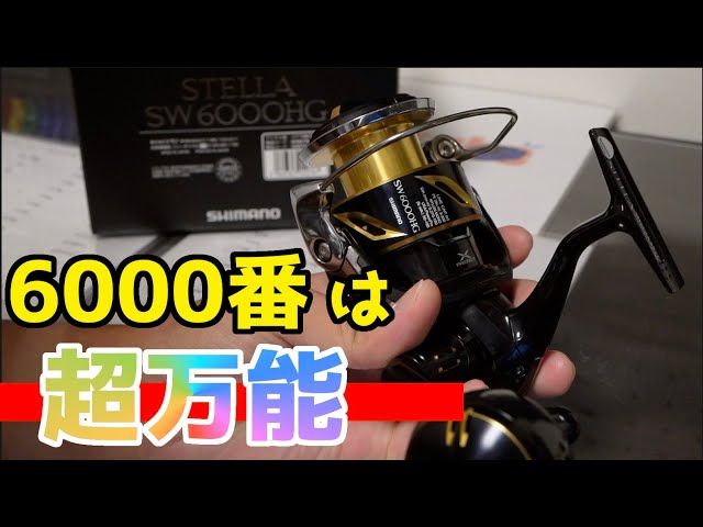 リールの選び方】6000番と8000番で迷ったら見る動画。ステラSWをご紹介
