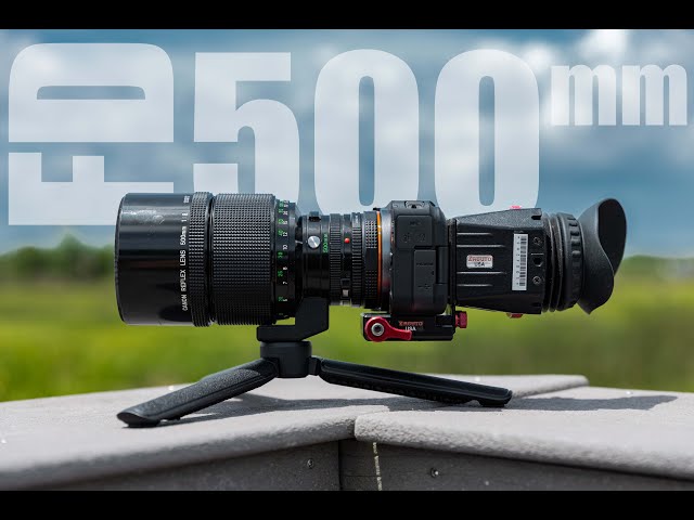 Get 800mm Under $200 with this lens!!! Canon FD 500mm F8 reflex