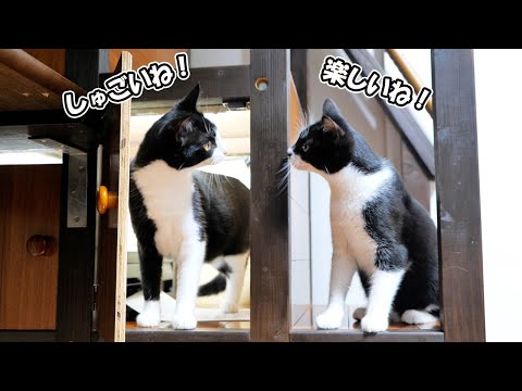 いつも上り下りしていた階段に秘密の小部屋が隠されていた事を初めて