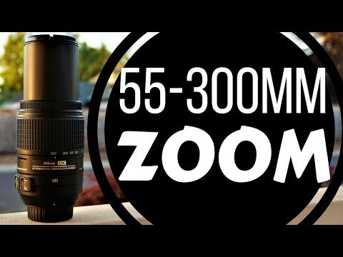 AF-S DX NIKKOR 55-300mm f/4.5-5.6G ED VR Lens Review | Nikon D7500