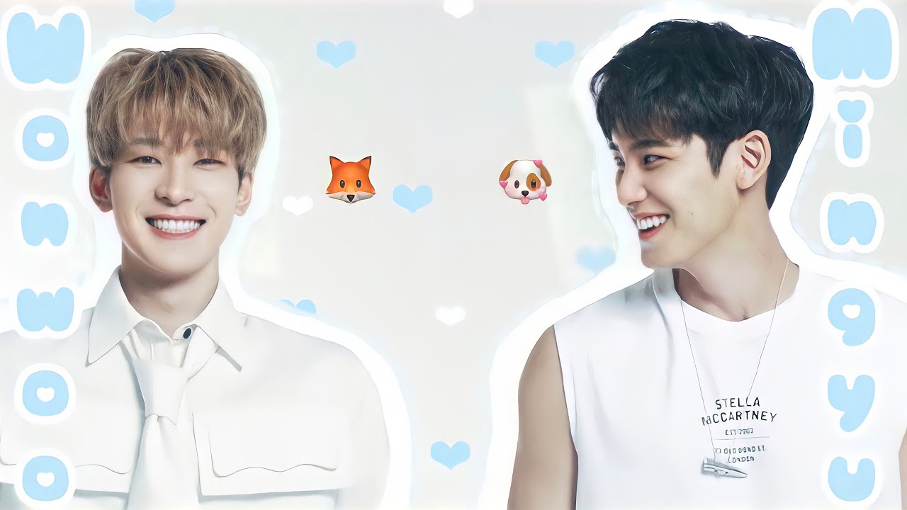 ウォヌとミンギュの世界🦊💖🐶 - YouTube