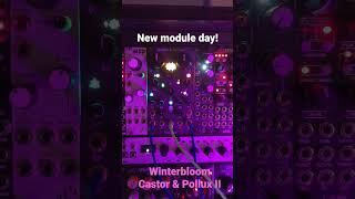 Winterbloom Castor & Pollux - Eurorack Module on ModularGrid