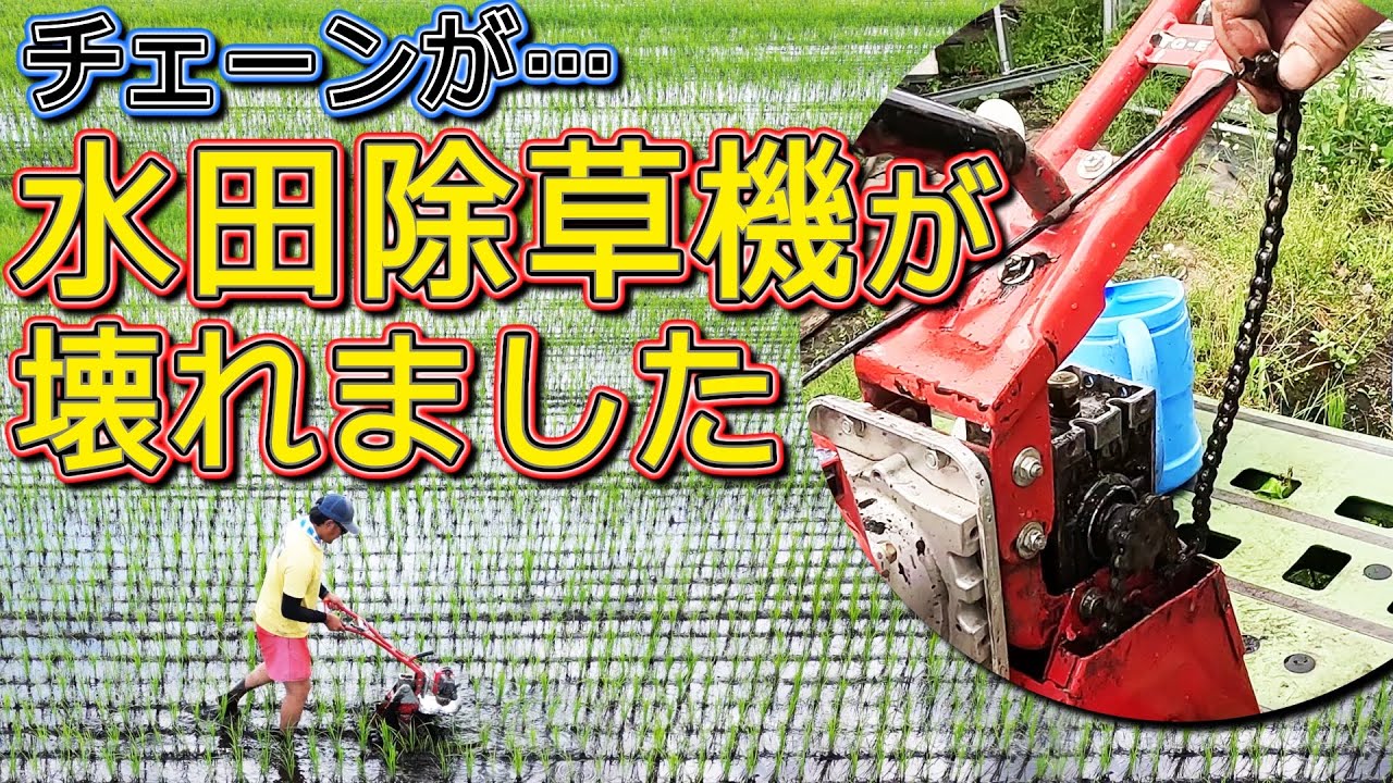My paddy field weeder broke Mini Ace - YouTube