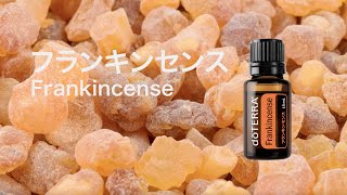 フランキンセンス - doTERRA TIMES