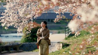 京都 上賀茂神社】さくら - YouTube