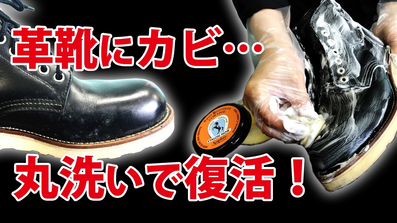 Complete Guide to Preventing Mold in Leather Shoes | How to Safely