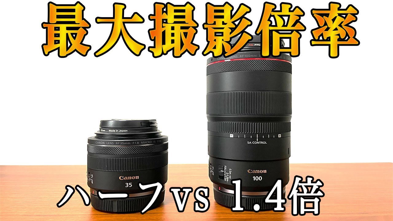 検証】マクロレンズ最大撮影倍率1.4倍とは/Canon RF100mm F2.8 L MACRO