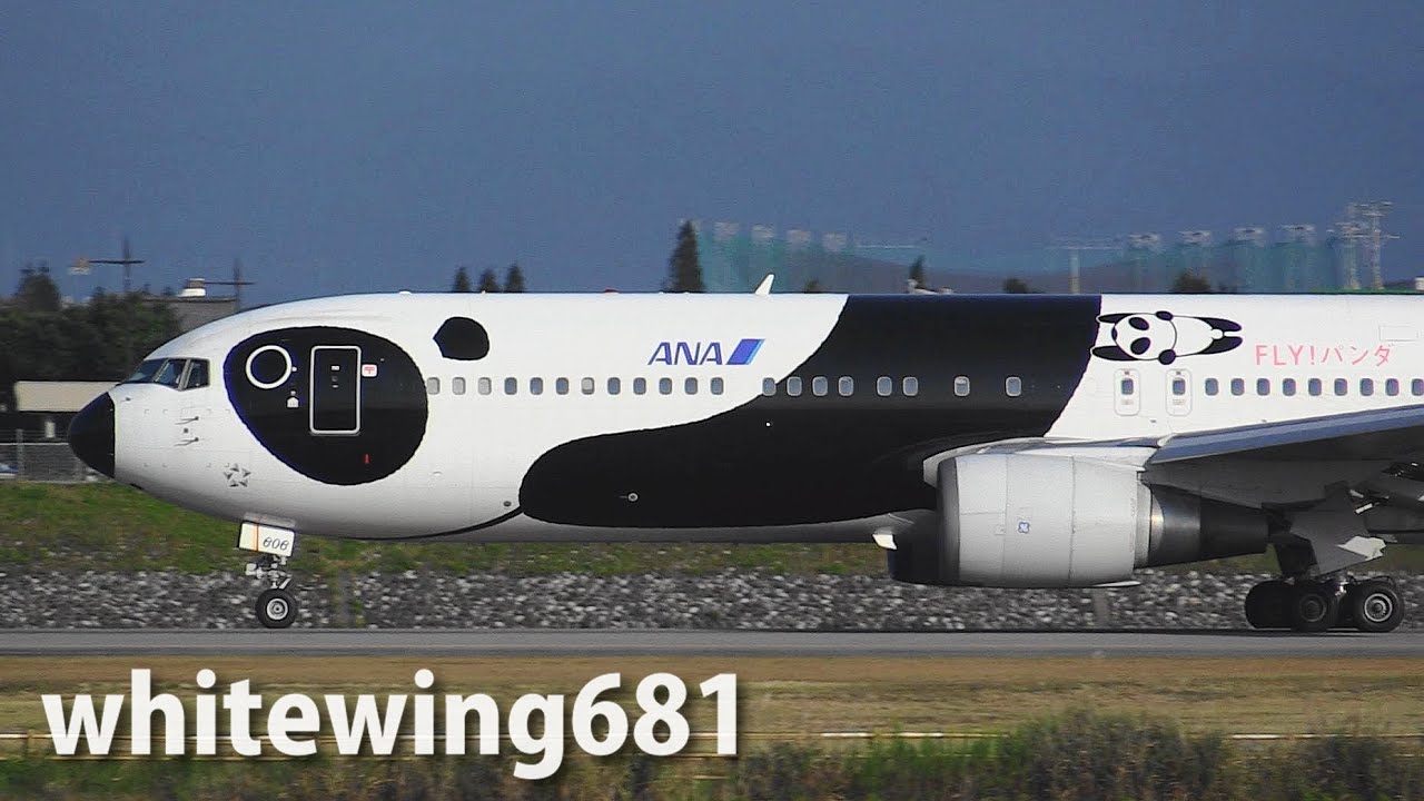 FLY! パンダ 特別塗装機] ANA Boeing 767-300ER JA606A TAKE-OFF