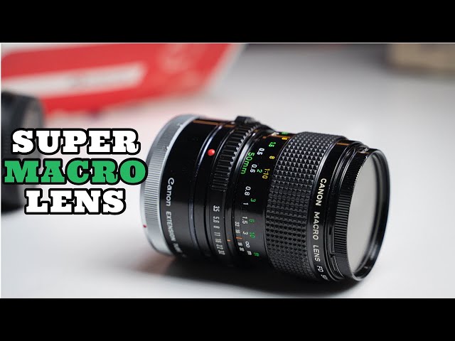 Loving this super macro lens || CANON FD 50MM F3.5 MACRO - YouTube