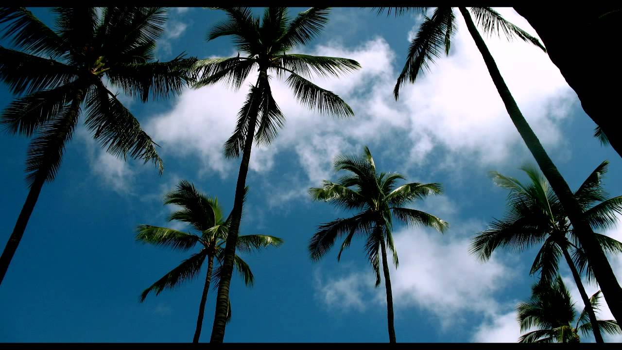 Kaskade - 4 AM (Adam K & Soha remix) *HD* - YouTube