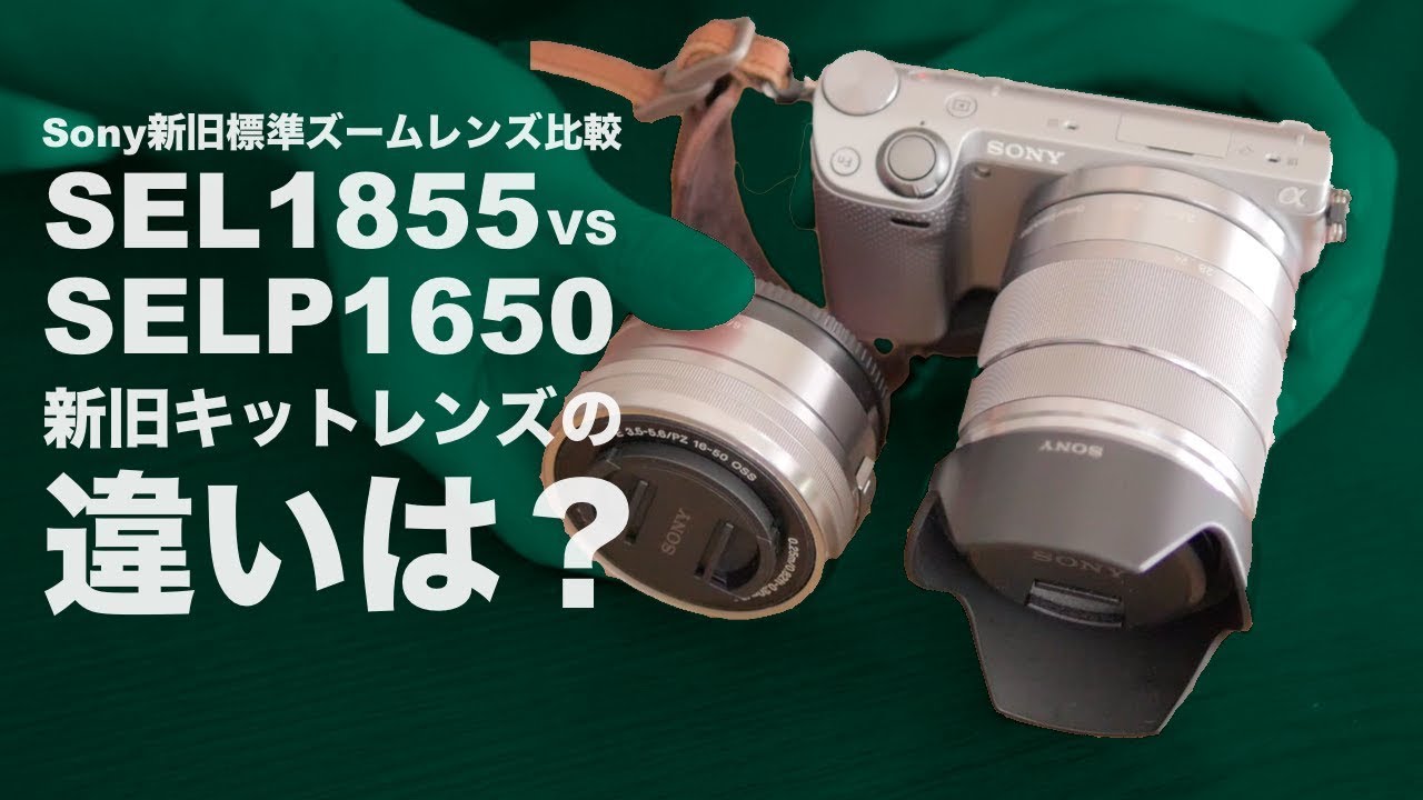 Sony標準ズームレンズSELP1650とSEL1855を比較！その特徴と利用シーン