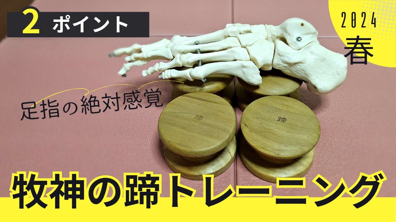 牧神の蹄（足の感覚トレーニングブロック）